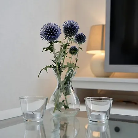 Fam.zimmer * Rust